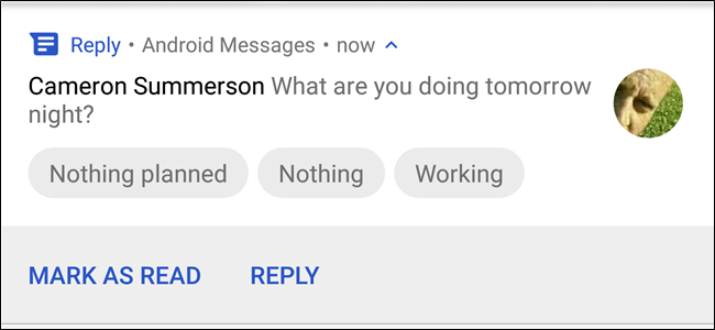 Приложение Google Reply скоро предоставит умные ответы другим приложениям