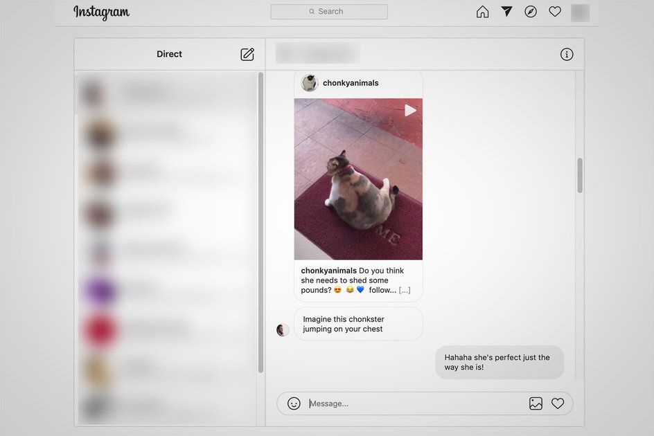 Instagram носи DM и животи в мрежата: Как да ги намерите