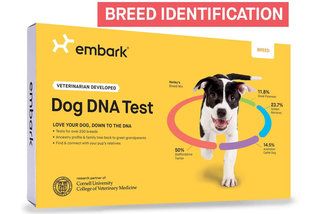 بہترین کتے کے ڈی این اے ٹیسٹ 2020 بہترین کتے کی صحت اور نسب کی اسکریننگ کٹس تصویر 1۔