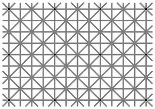 las mejores ilusiones ópticas de internet a tu alrededor no creerán en tus ojos imagen 7