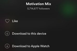 Vous pouvez désormais télécharger de la musique hors ligne en utilisant Spotify sur Apple Watch photo 2