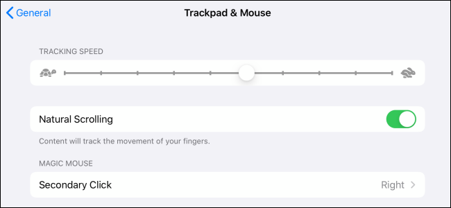 Pelės tinkinimas iPadOS