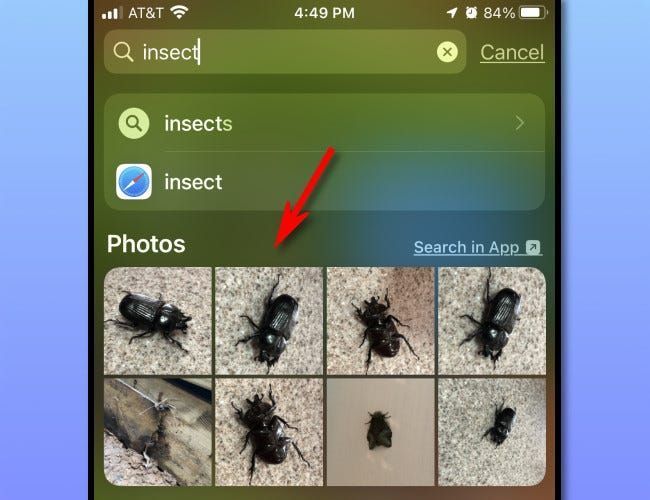 Un esempio di miniature di foto mostrate nei risultati della ricerca Spotlight su iPhone.