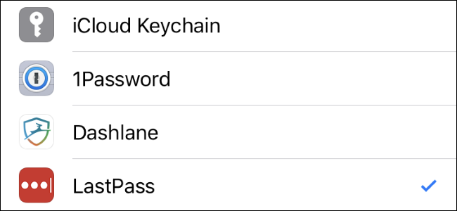 Come scegliere il tuo gestore di password preferito per la compilazione automatica su iPhone o iPad