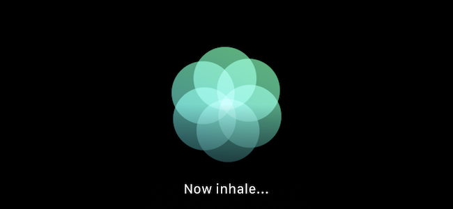 Naudokite „Apple Watch“ programą „Breathe“, kad diena būtų dėmesingesnė
