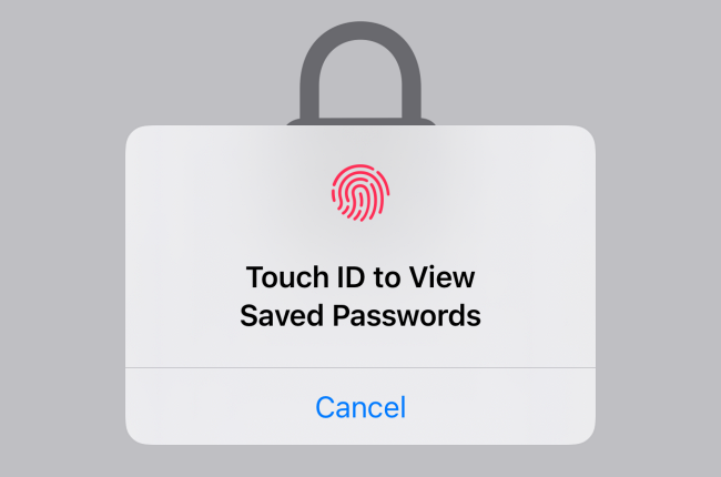 Verwenden Sie Face ID oder Touch ID, um auf die gespeicherten Passwörter zuzugreifen und sie anzuzeigen.