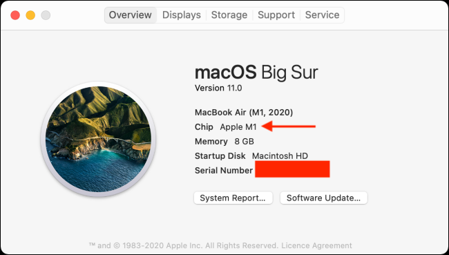 Sezione Chip in Informazioni su questo Mac