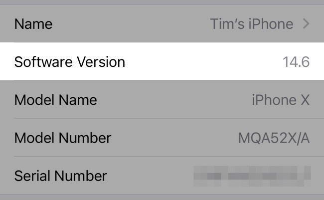 Find Out Your iOS Version in Settings>عام> حول 