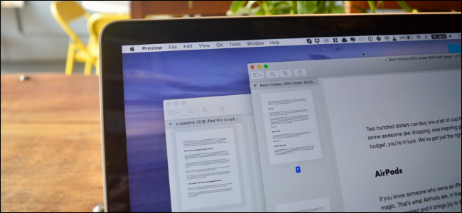 Due documenti PDF aperti su un Mac