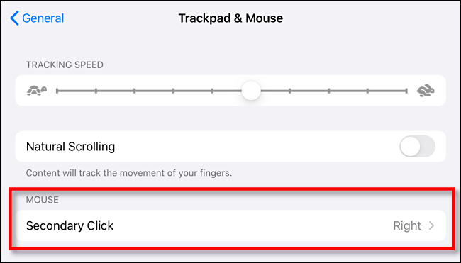 In Impostazioni trackpad e mouse, tocca Clic secondario su iPad