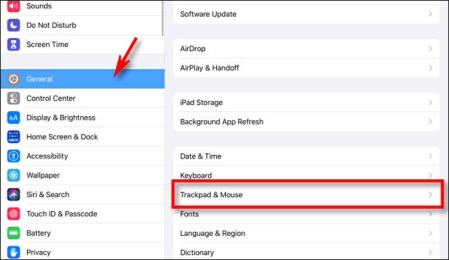 Seleziona Trackpad e Mouse in Impostazioni su iPad