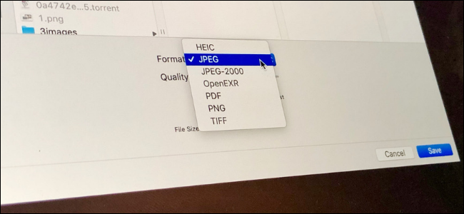 Come convertire immagini PNG, TIFF e JPEG in un formato diverso sul tuo Mac