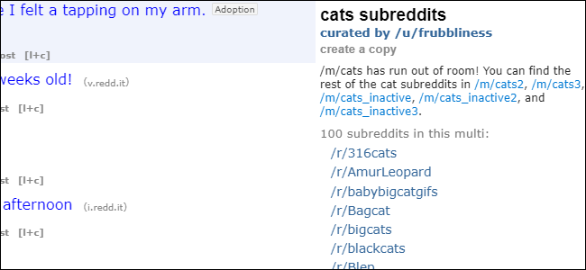 Kucing Multireddit Reddit