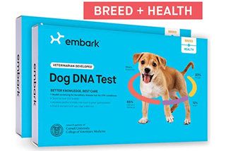 Nejlepší testy DNA psů 2020 Nejlepší sady pro předky a zdraví pro psy obrázek 1