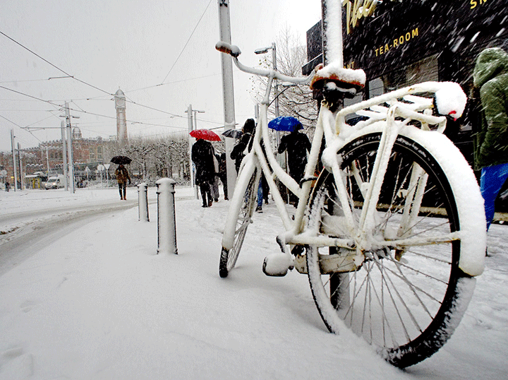 kolo v zimě