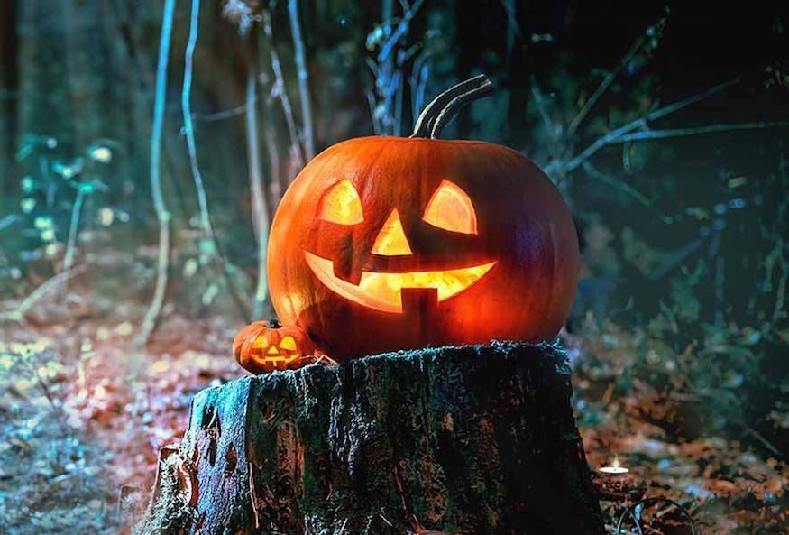 46 Sjovt uhyggelige Halloween-vittigheder