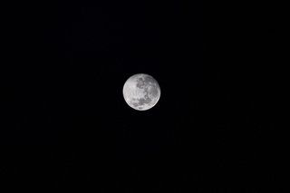 imatges sorprenents de la nostra lluna en totes les formes i mides foto 14