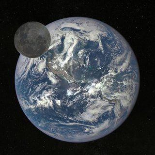 Imatges increïbles de la nostra lluna en totes les formes i mides image 4