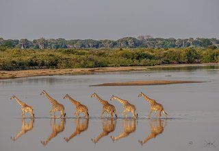 Зашеметяващи снимки от The Nature Conservancy 2018 World Photo Contest снимка 10