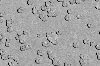 Невероятни изображения на Марс, каквито никога не сте виждали преди снимка 45