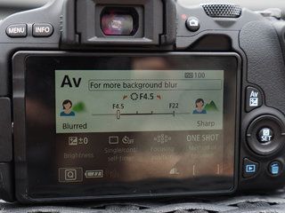Canon EOS 200D Test: Die perfekte Mini-DSLR für Einsteiger?