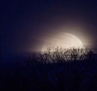 Imagens incríveis da nossa lua em todas as formas e tamanhos. Imagem 9