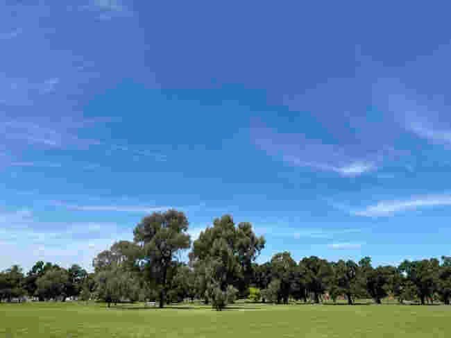 Компресирано JPEG изображение на дървета под синьо небе