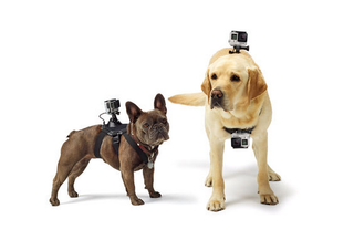 Des gadgets high-tech incroyables pour vos animaux et vous-même image 6