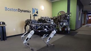 Obrázek 27 nových robotů pro skutečný život