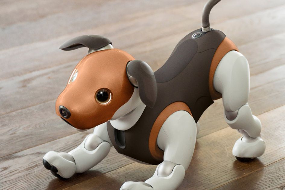 PRO BOHA! Chceme nového robotického psa Aibo podobného bíglovi