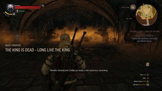 the witcher 3 wild hunt review 16 image