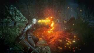 the witcher 3 wild hunt review image 8