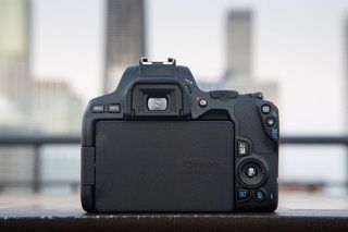 Recenze Canon EOS 250D (Rebel SL3): Zpět k základům