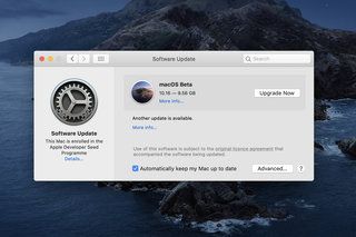 „macOS 11 Big Sur“ padėjo 1 nuotrauką