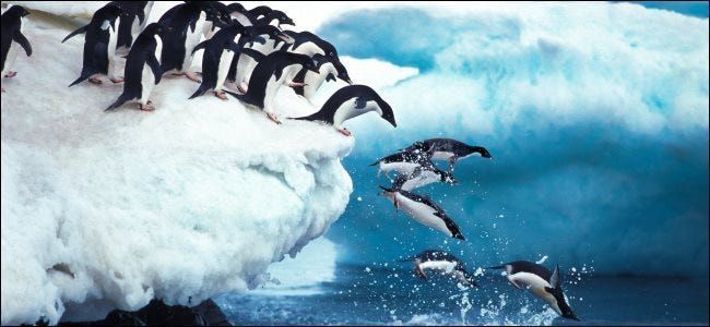 Пингвини скачу у океан
