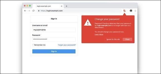 Googlen uusi Chrome-laajennus varoittaa, jos salasanasi ovat vuotaneet
