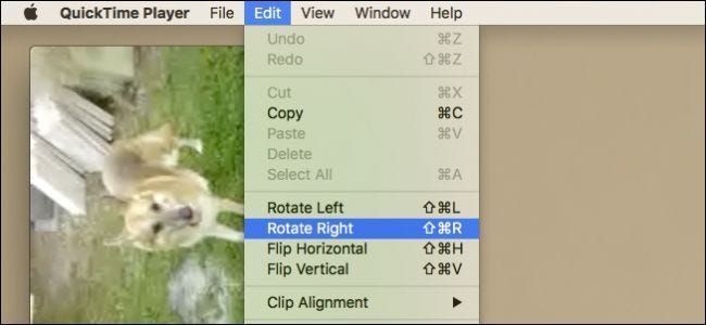 Cómo rotar videos en una Mac