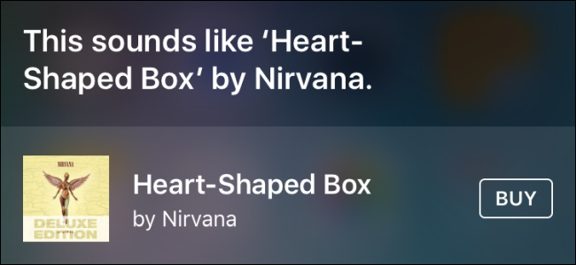 So zeigen Sie eine Liste von Songs an, die Sie mit Siri . identifiziert haben