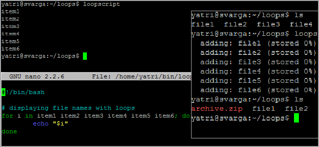 دليل المبتدئين إلى Shell Scripting 2: For Loops