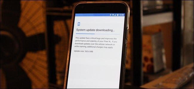 Cách kiểm tra thủ công các bản cập nhật hệ thống trên điện thoại Android