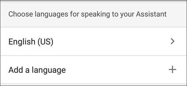 두 가지 언어를 사용하도록 Google Home을 설정하는 방법