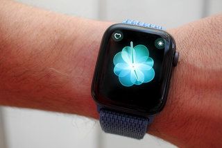 Slika pregleda Apple Watch Series 4 12