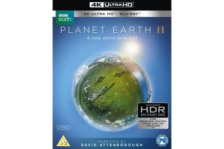 Planet Earth II 4K Ultra HD Blu-ray v HDR: Jak se dívat a co očekávat