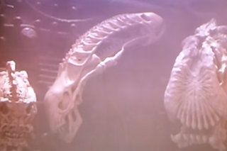 ¿Cuál es el mejor orden para ver las películas de Alien Universe? Image 1