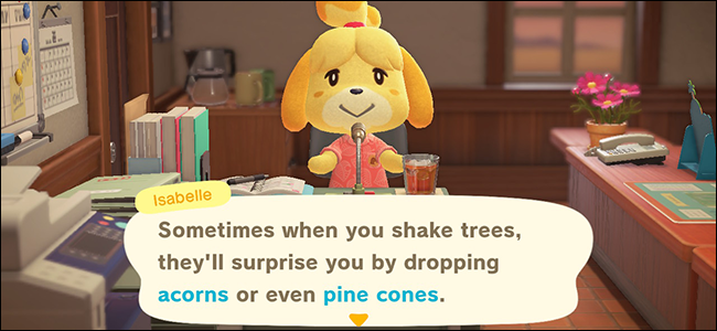 Cách tìm Acorns và Pine Cones trong 'Animal Crossing: New Horizons'