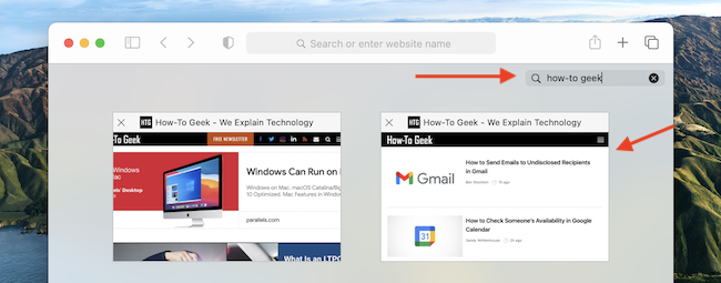 Cerca schede aperte in Safari per Mac