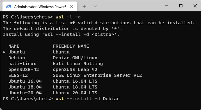 Elenca le distribuzioni Linux disponibili e installane una.