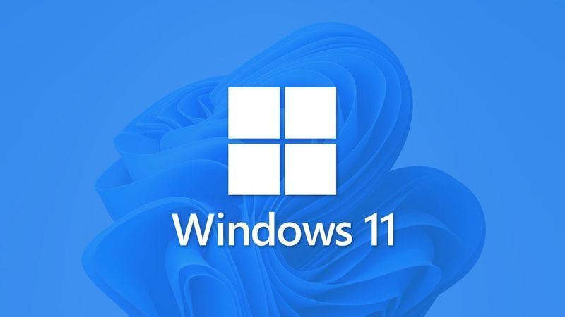 „Windows 11“ logotipas su fonu